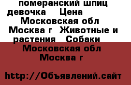 померанский шпиц девочка  › Цена ­ 18 000 - Московская обл., Москва г. Животные и растения » Собаки   . Московская обл.,Москва г.